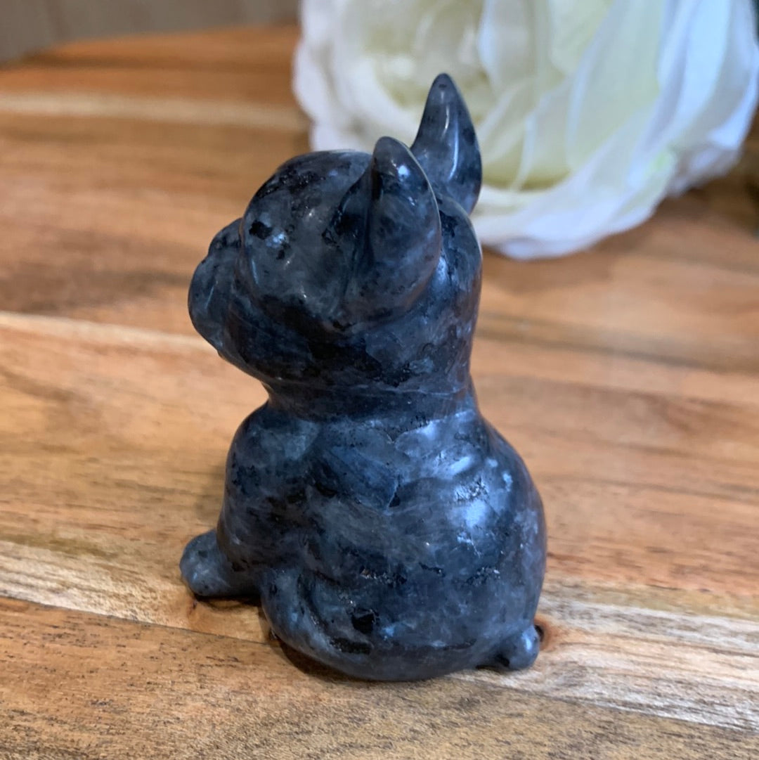 LARVIKITE FRENCH DOG