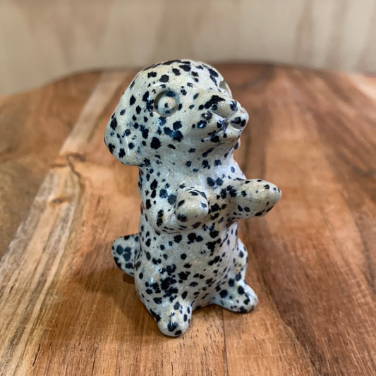 DALMATIAN JASPER PUPPY DOG (BEGGING)