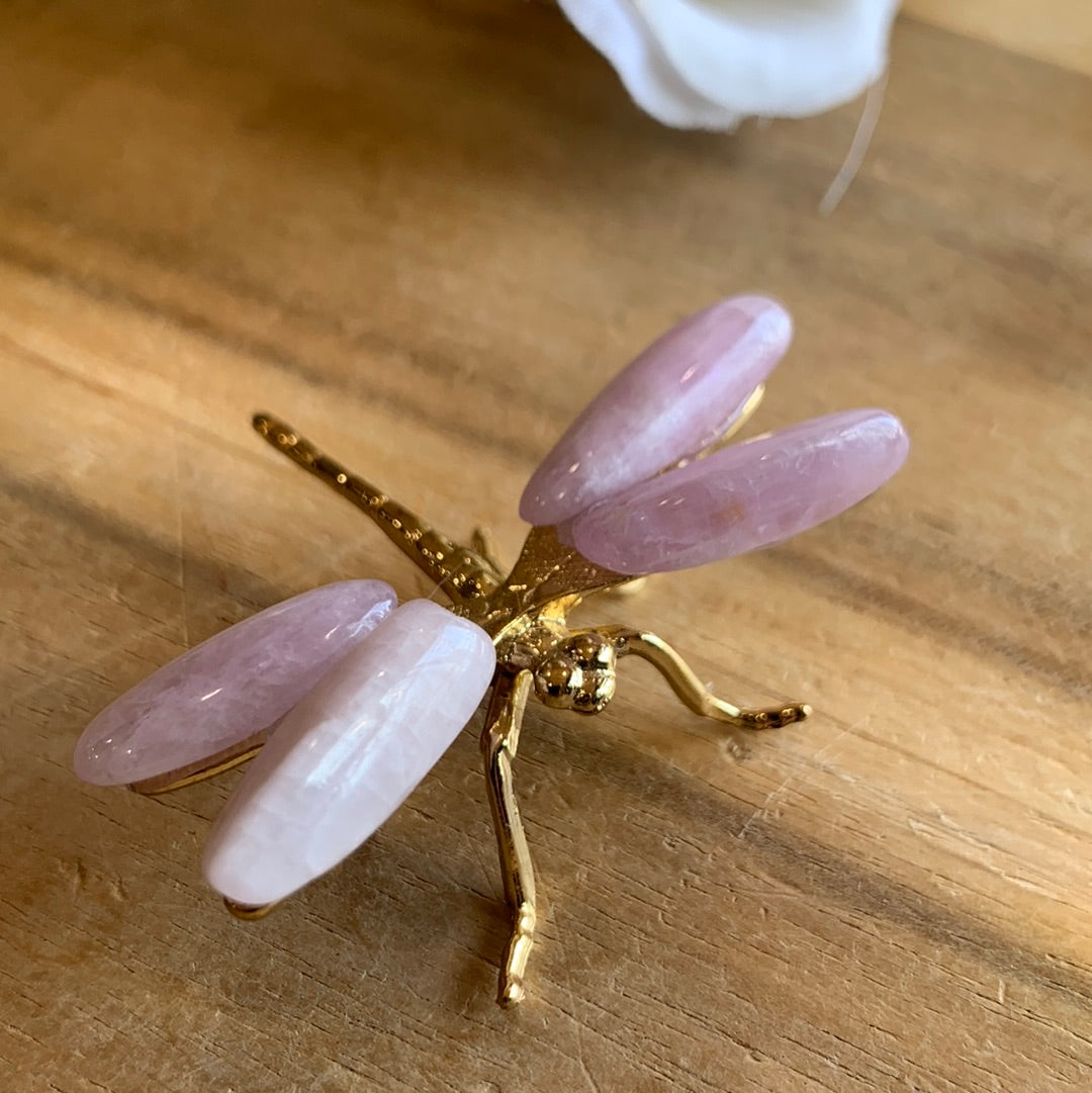 CRYSTAL DRAGONFLYS