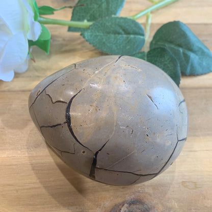 SEPTARIAN EGG WITH EGYPTIAN CARVING INSIDE (MEDIUM TO LARGE)