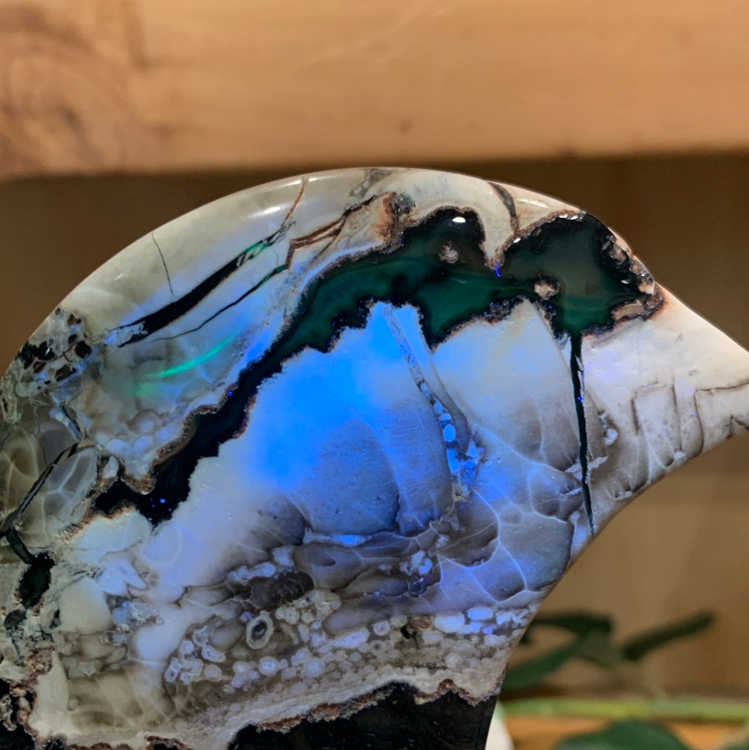 VOLCANO AGATE MOON ON SILVER ASTROLOGY STAND