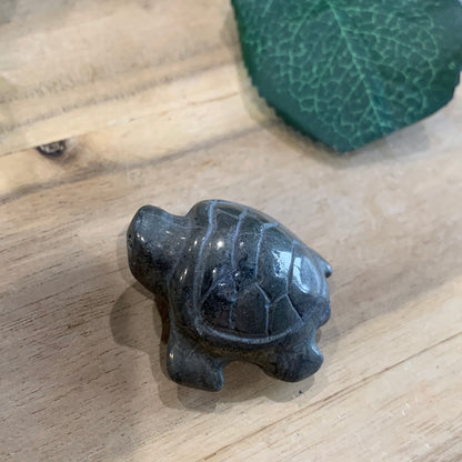 PYRITE TURTLE