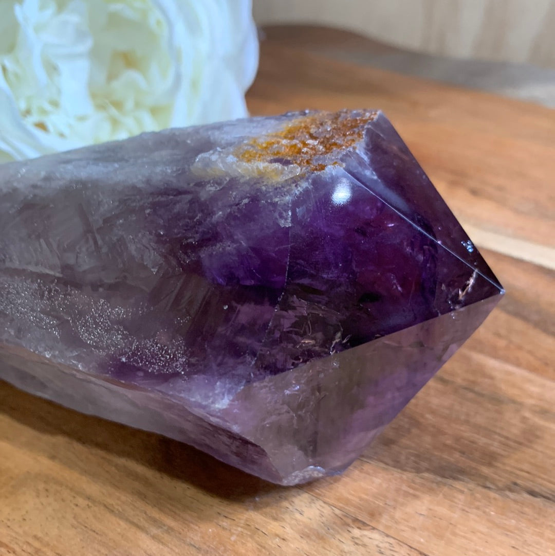 AMETHYST TOOTH (MASSIVE 714 GRAMS)
