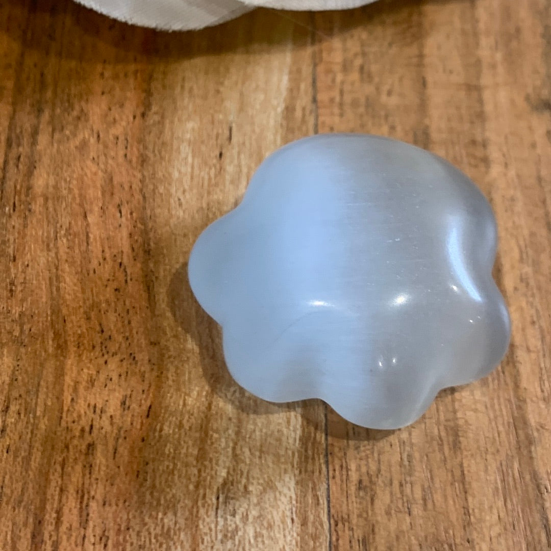 CRYSTAL DOG PAWS (SMALL-MEDIUM-LARGE)