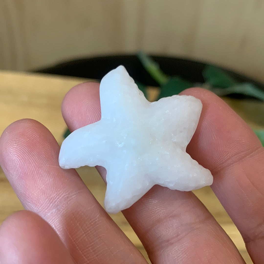 WHITE JADE STARFISH