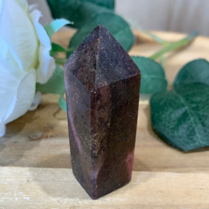 RUBY & TOURMALINE POINT