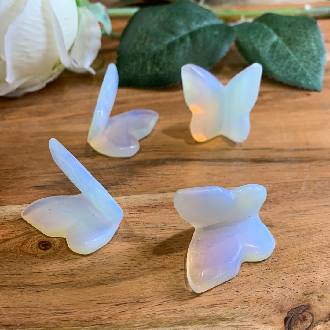BUTTERFLIES (SMALL)