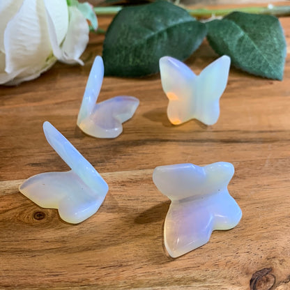 BUTTERFLIES (SMALL)