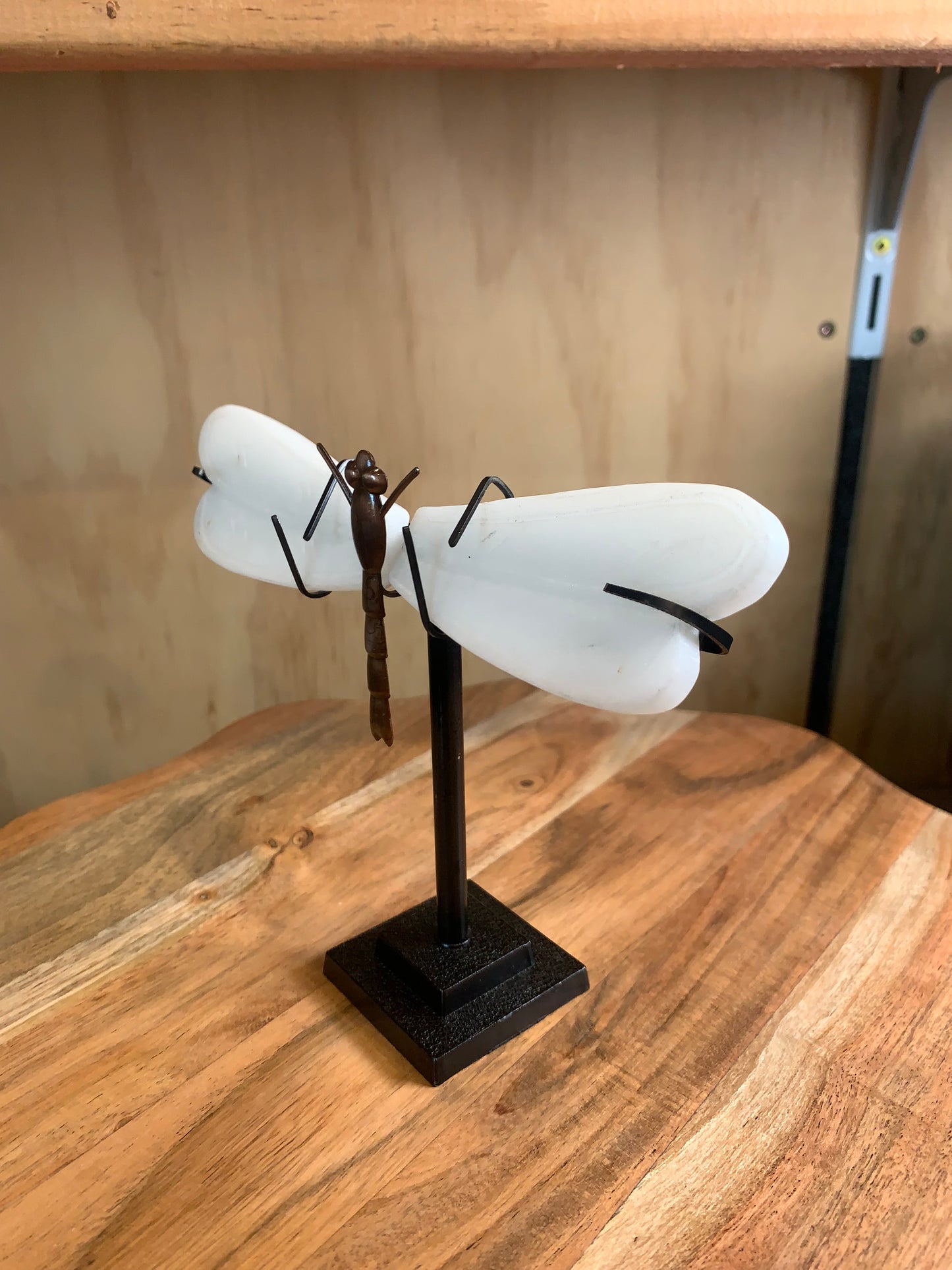 WHITE JADE DRAGON FLY