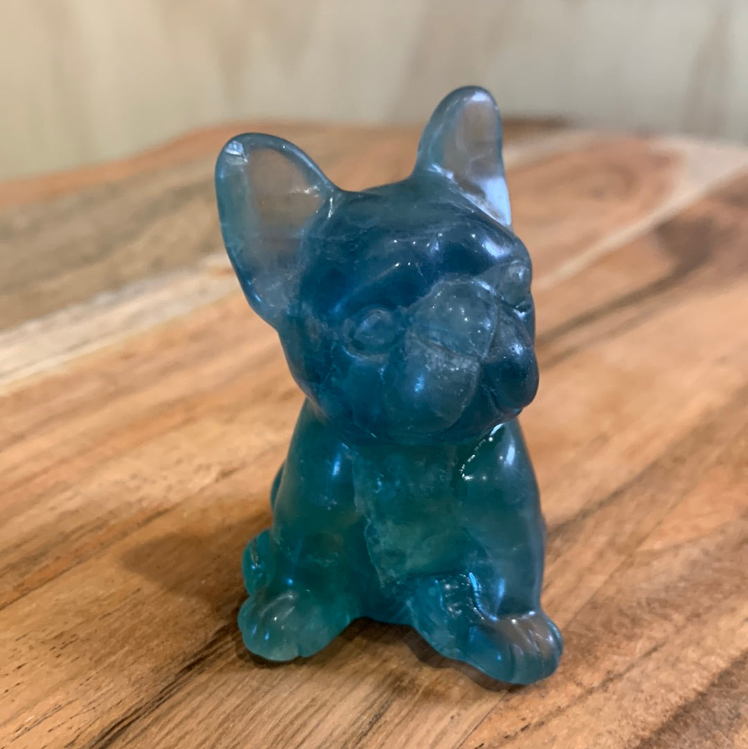 FLUORITE FRENCH DOGS