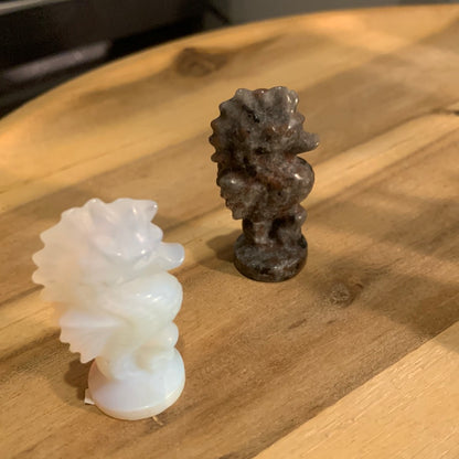 SEAHORSES (SMALL)