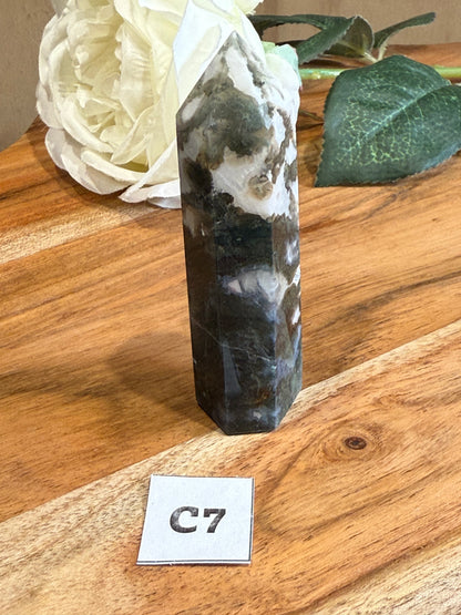 AGATE MOSS POINTS