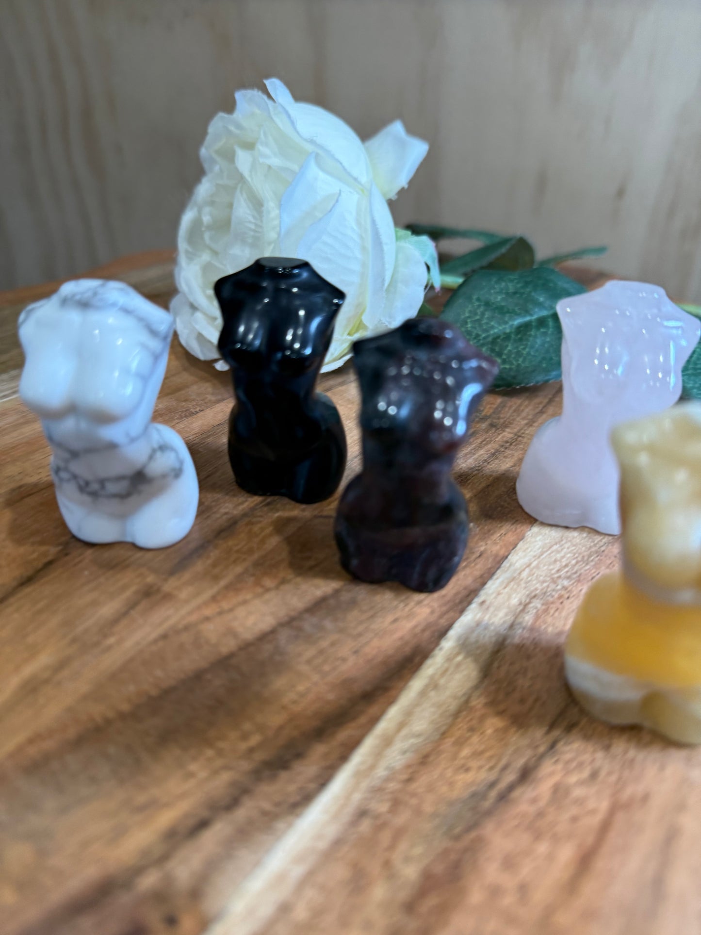 LADY BODIES (MEDIUM)