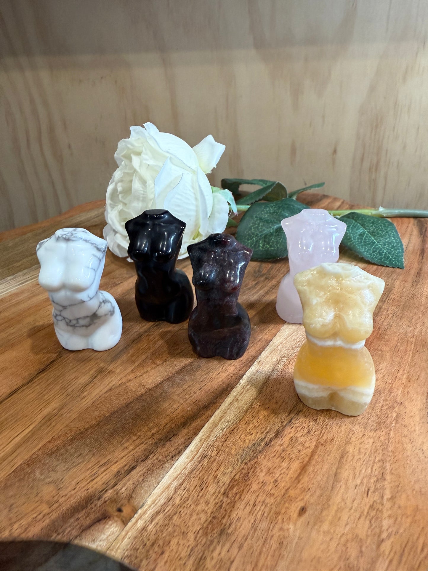 LADY BODIES (MEDIUM)