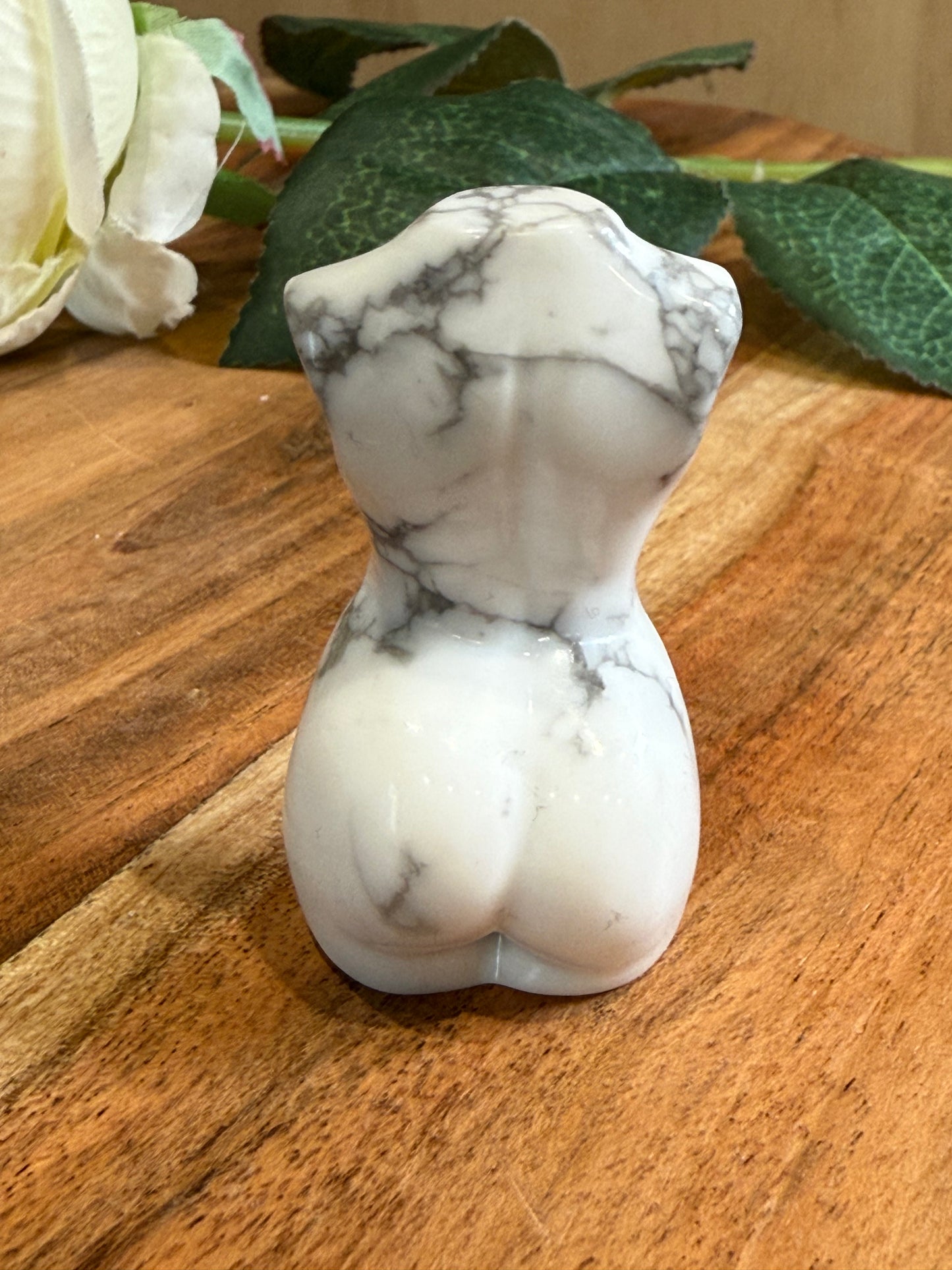 LADY BODIES (MEDIUM)