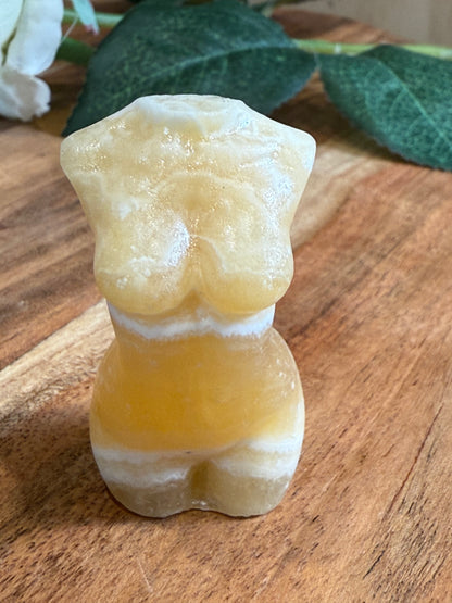 LADY BODIES (MEDIUM)