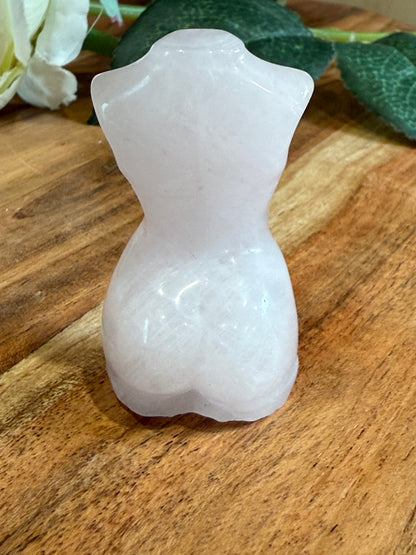 LADY BODIES (MEDIUM)
