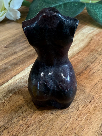 LADY BODIES (MEDIUM)