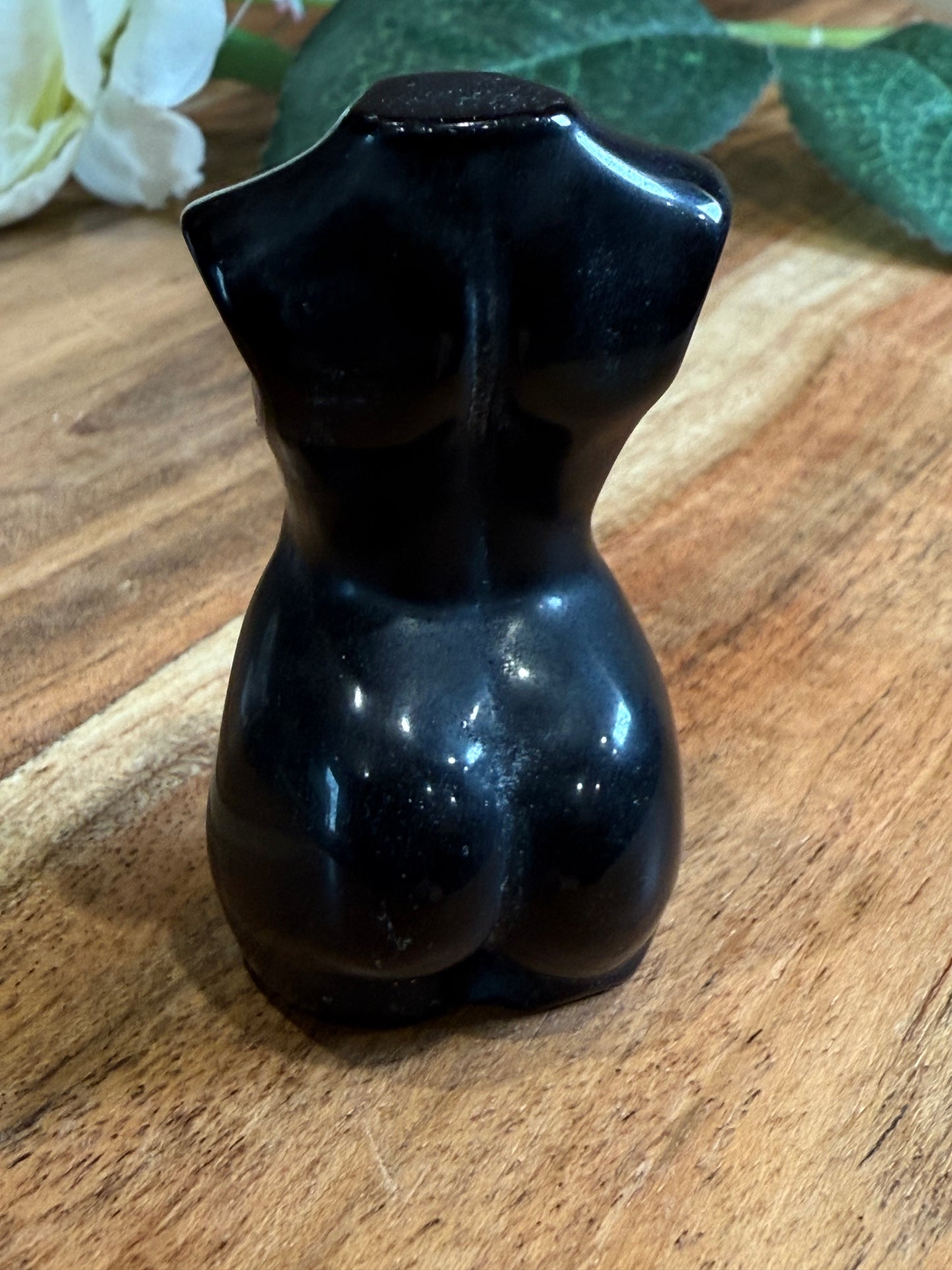 LADY BODIES (MEDIUM)