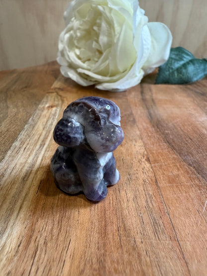 CRYSTAL POODLES