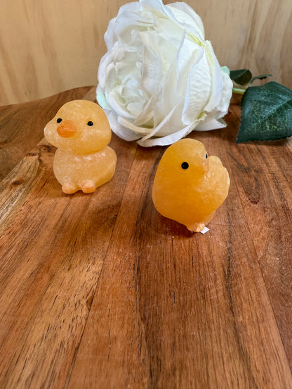 ORANGE CALCITE CHICKEN & DUCK