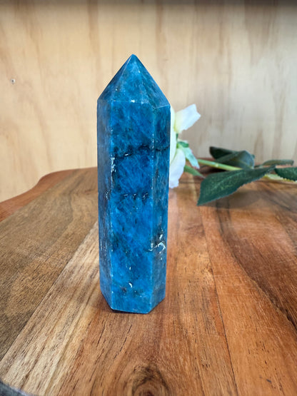 BLUE APATITE POINT