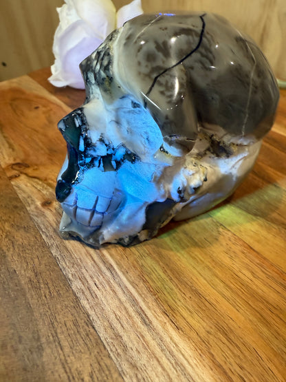 VOLCANO AGATE SKULL