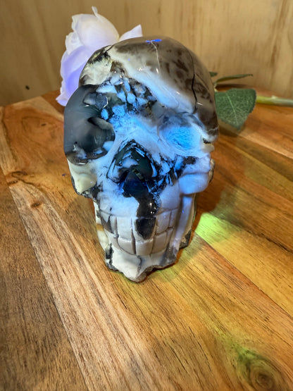 VOLCANO AGATE SKULL
