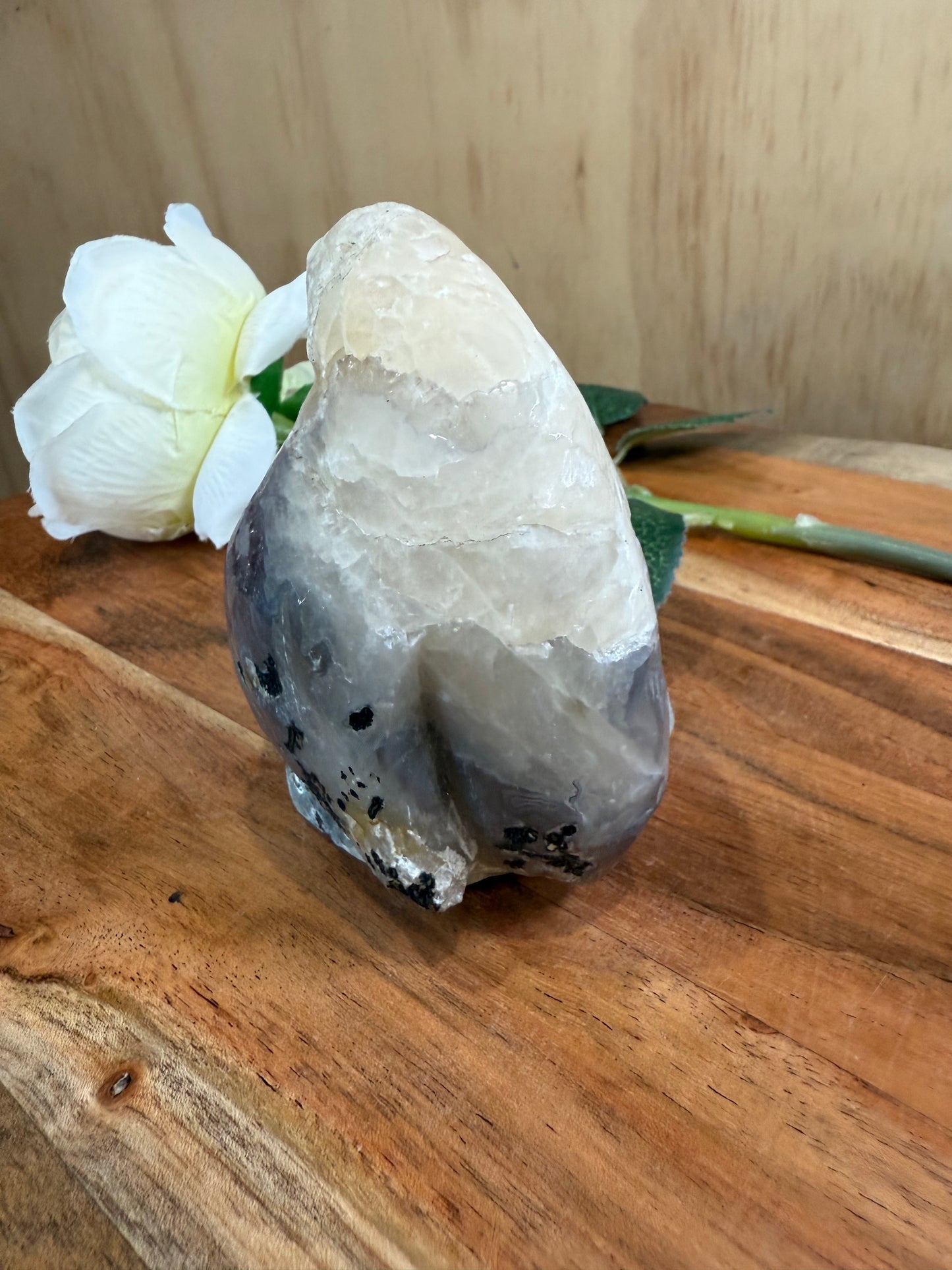 VOLCANO AGATE PENGUIN (SPECIAL AGATE)