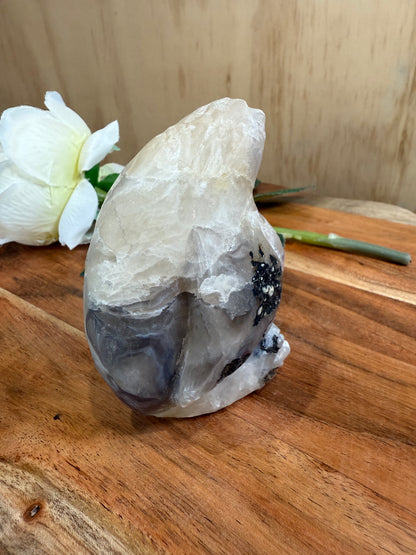 VOLCANO AGATE PENGUIN (SPECIAL AGATE)
