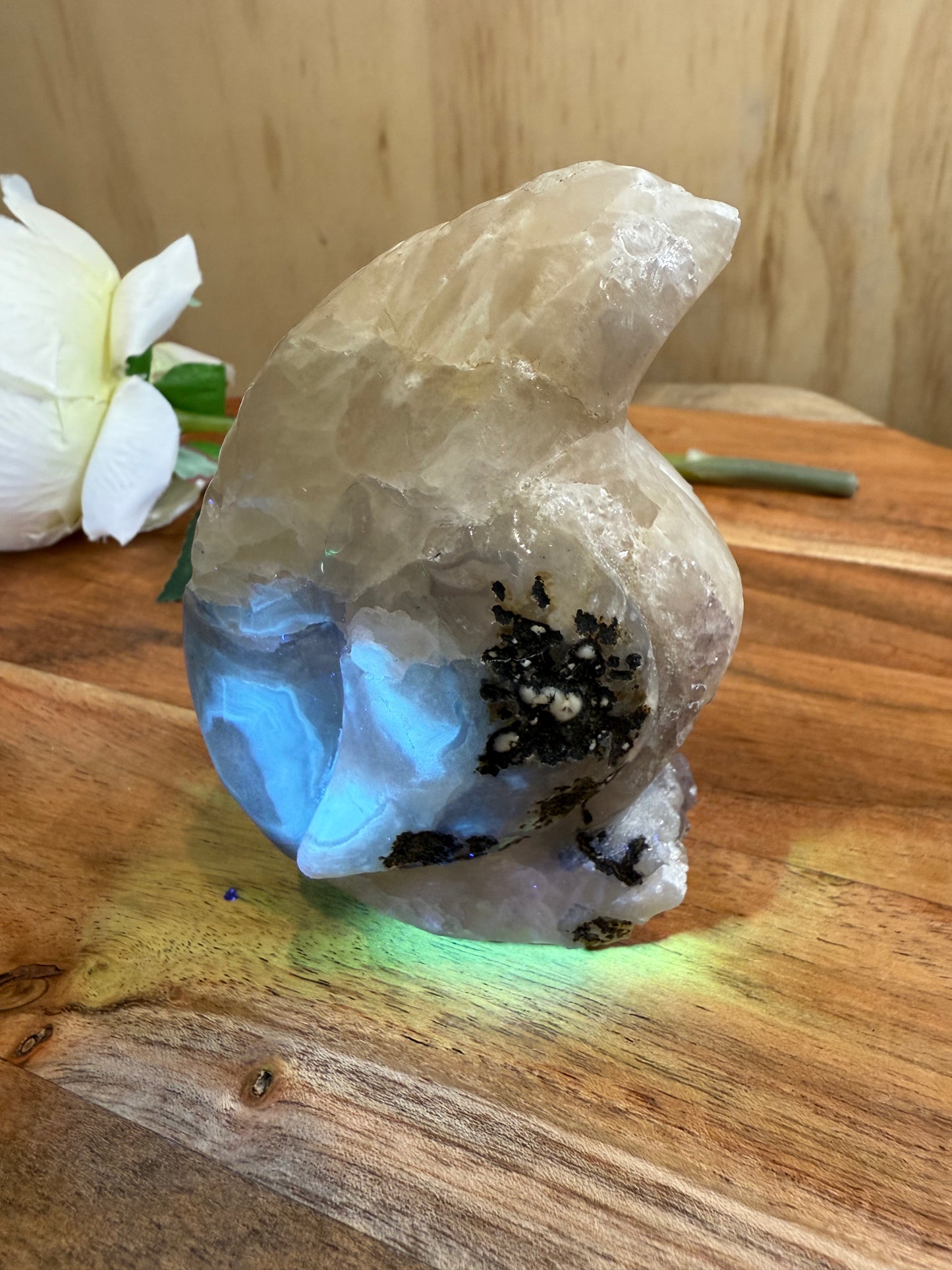 VOLCANO AGATE PENGUIN (SPECIAL AGATE)