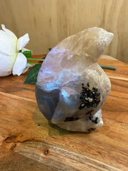 VOLCANO AGATE PENGUIN (SPECIAL AGATE)