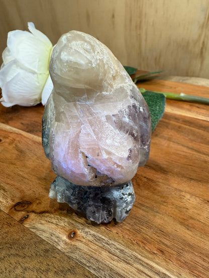VOLCANO AGATE PENGUIN (SPECIAL AGATE)