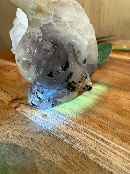 VOLCANO AGATE PENGUIN (SPECIAL AGATE)