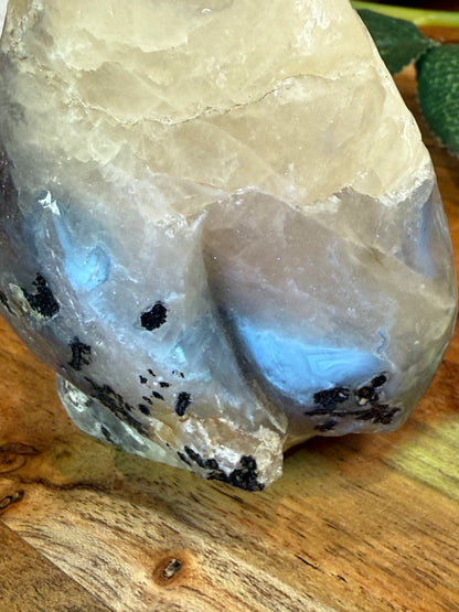 VOLCANO AGATE PENGUIN (SPECIAL AGATE)