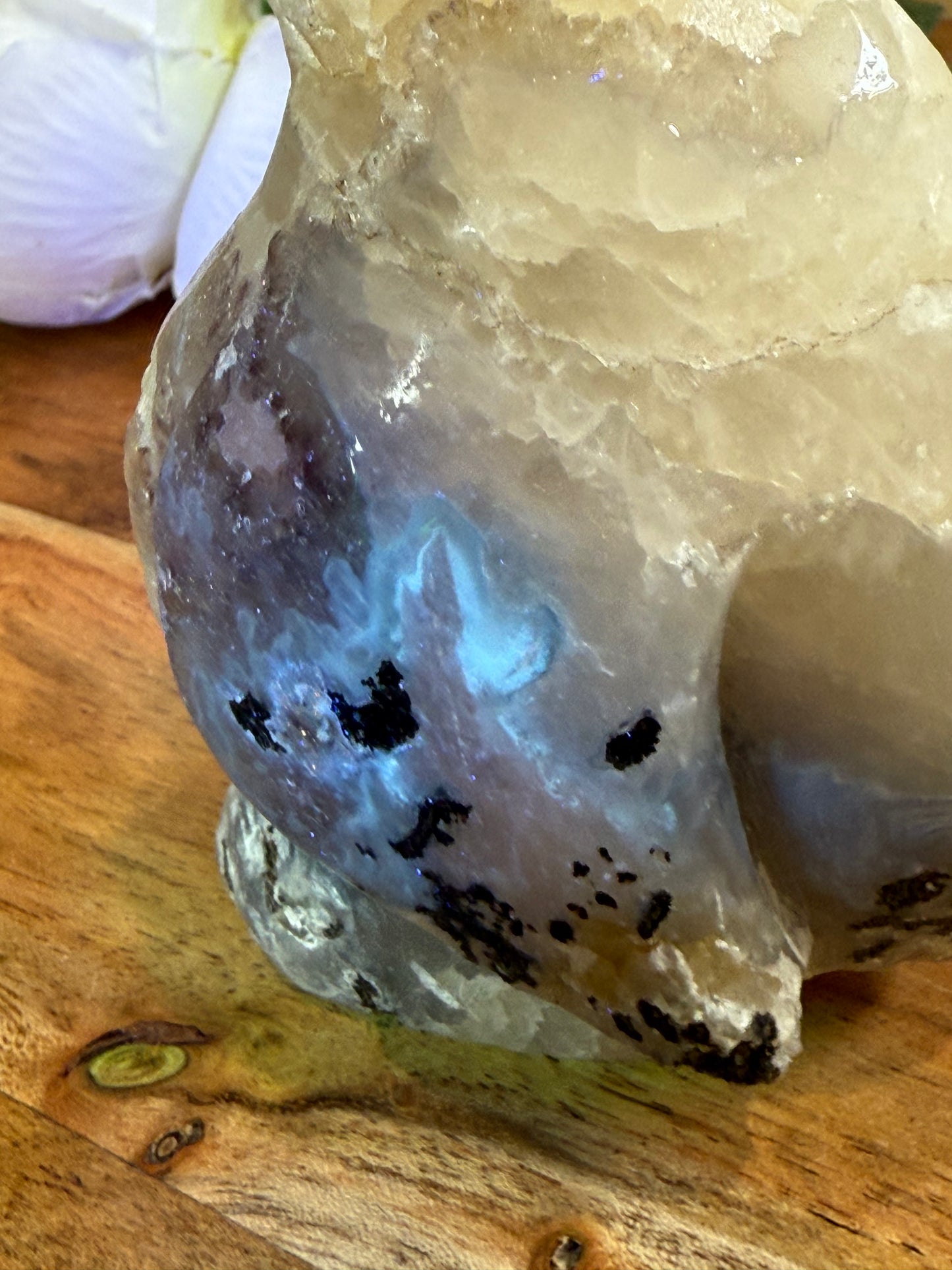 VOLCANO AGATE PENGUIN (SPECIAL AGATE)
