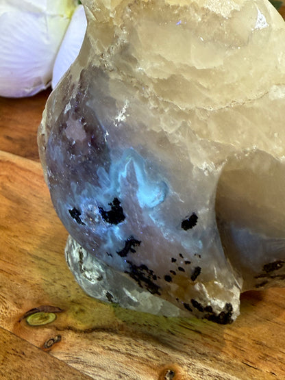 VOLCANO AGATE PENGUIN (SPECIAL AGATE)
