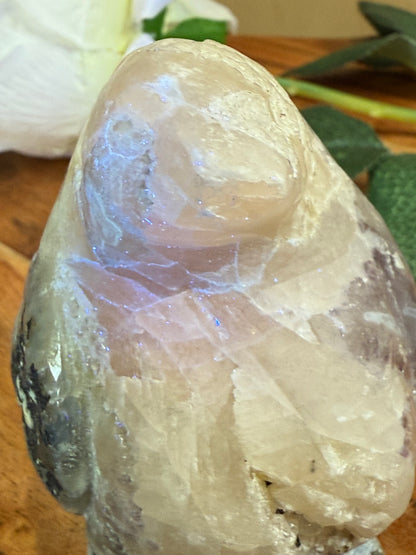 VOLCANO AGATE PENGUIN (SPECIAL AGATE)