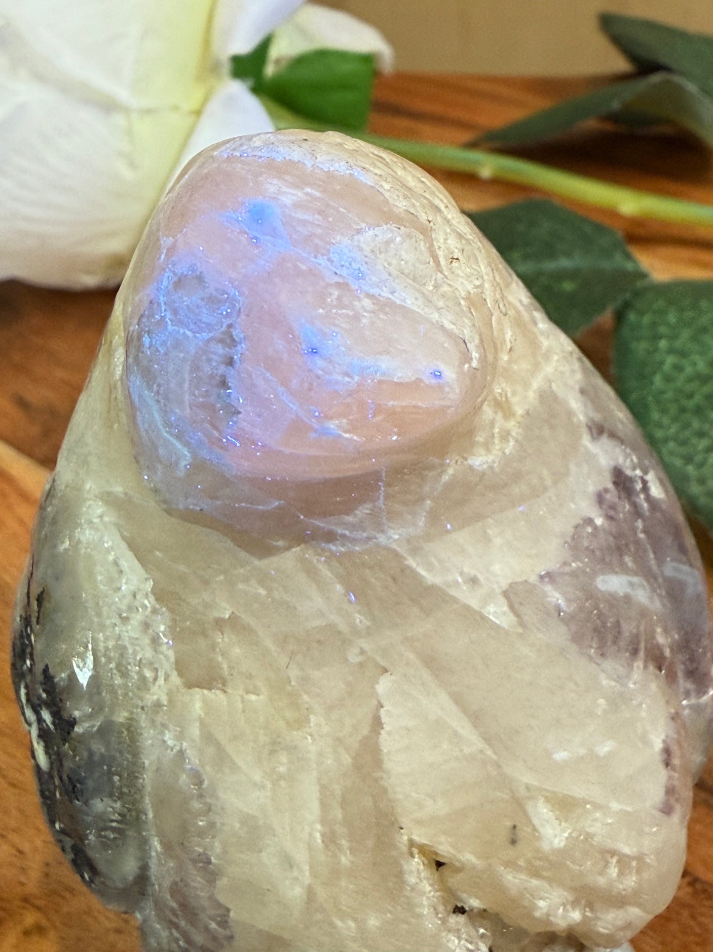 VOLCANO AGATE PENGUIN (SPECIAL AGATE)