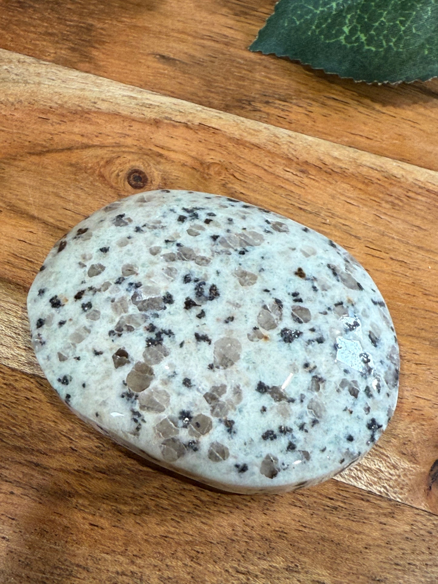 PALM STONES (MEDIUM & LARGE)