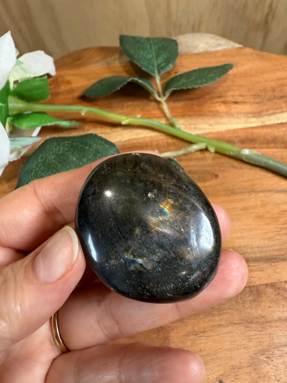 PALM STONES (MEDIUM)