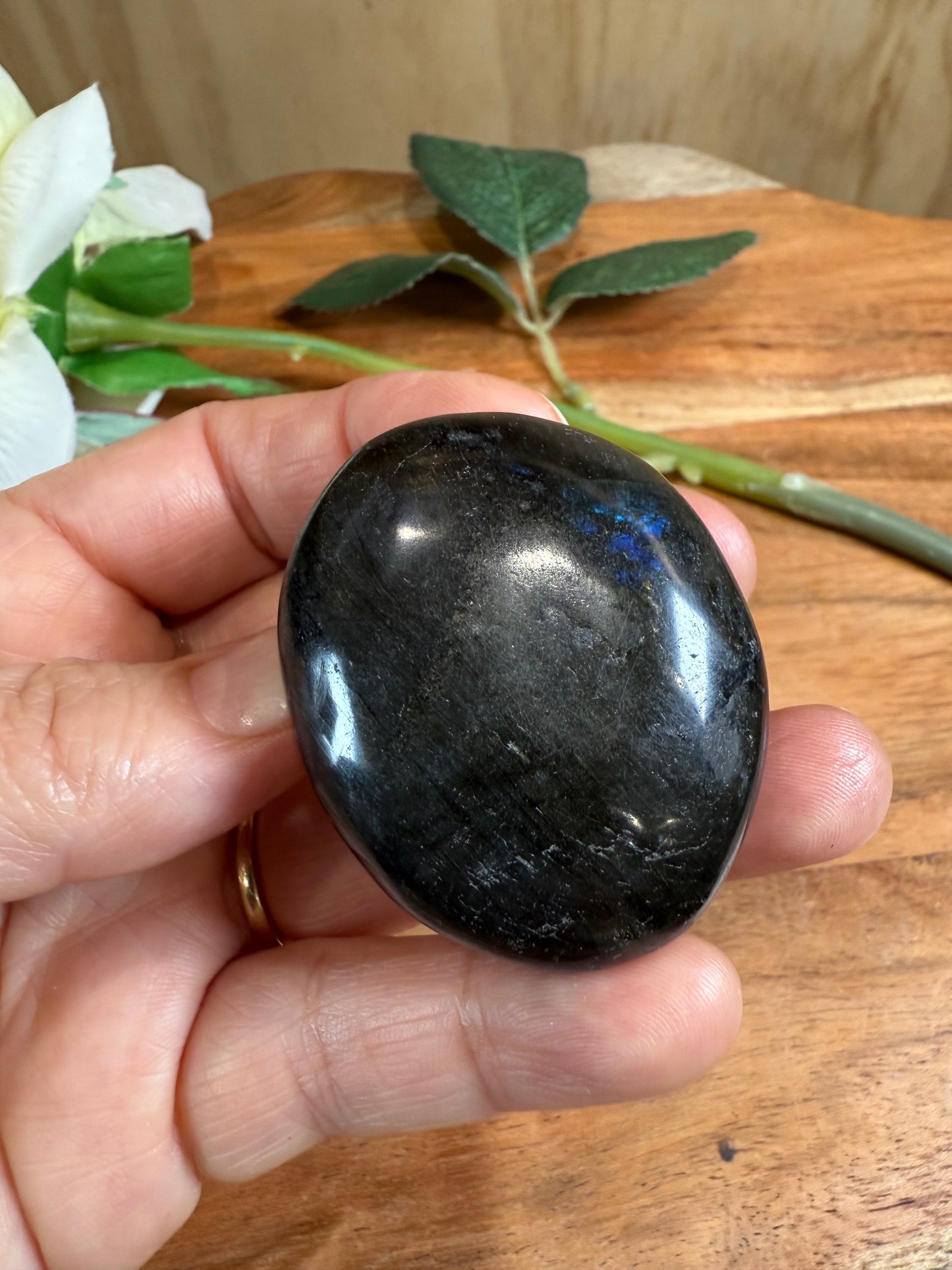 PALM STONES (MEDIUM)