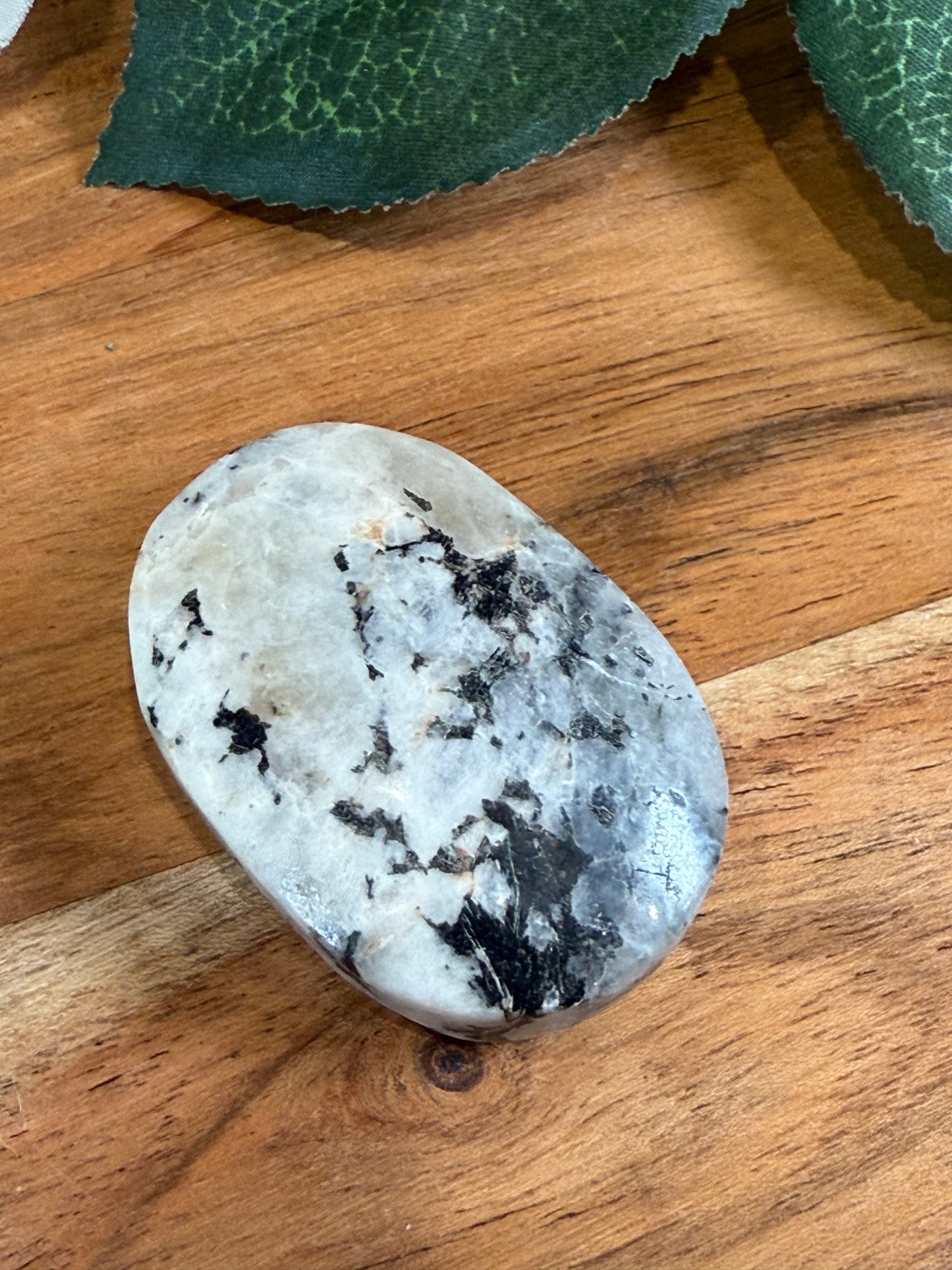 PALM STONES (MEDIUM)