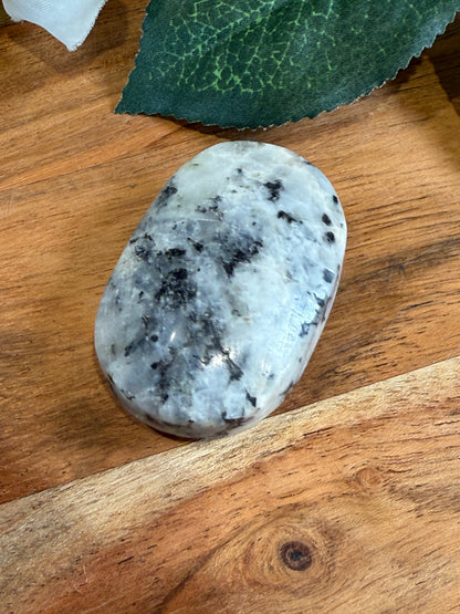 PALM STONES (MEDIUM)