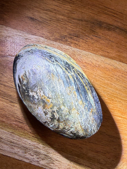 PALM STONES (MEDIUM)