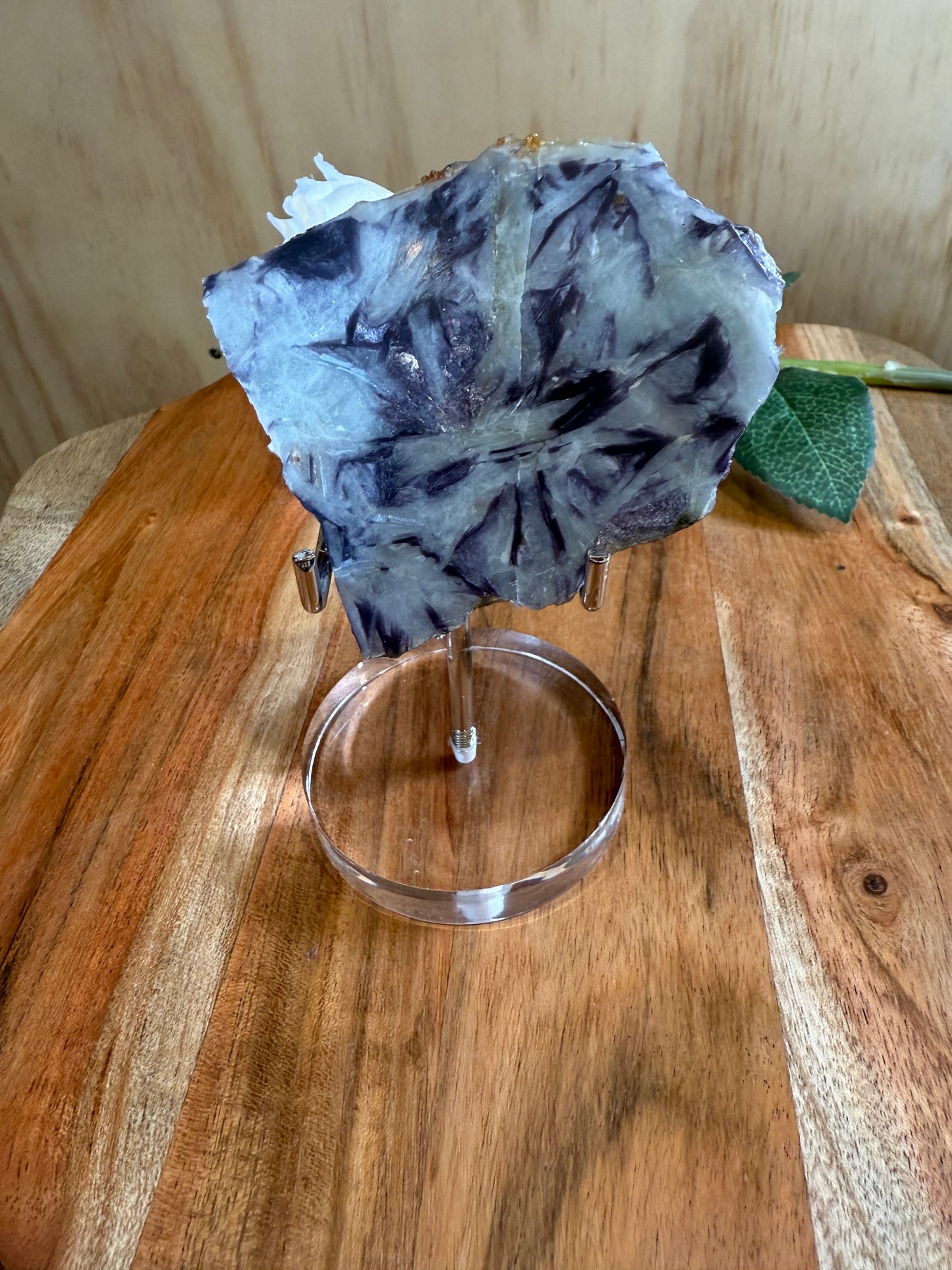 STANDS AND HOLDERS (FOR SLABS, SPECIMENS, SLICES, DIAMONDS, ETC) CRYSTALS OR SLICES NOT INCLUDED