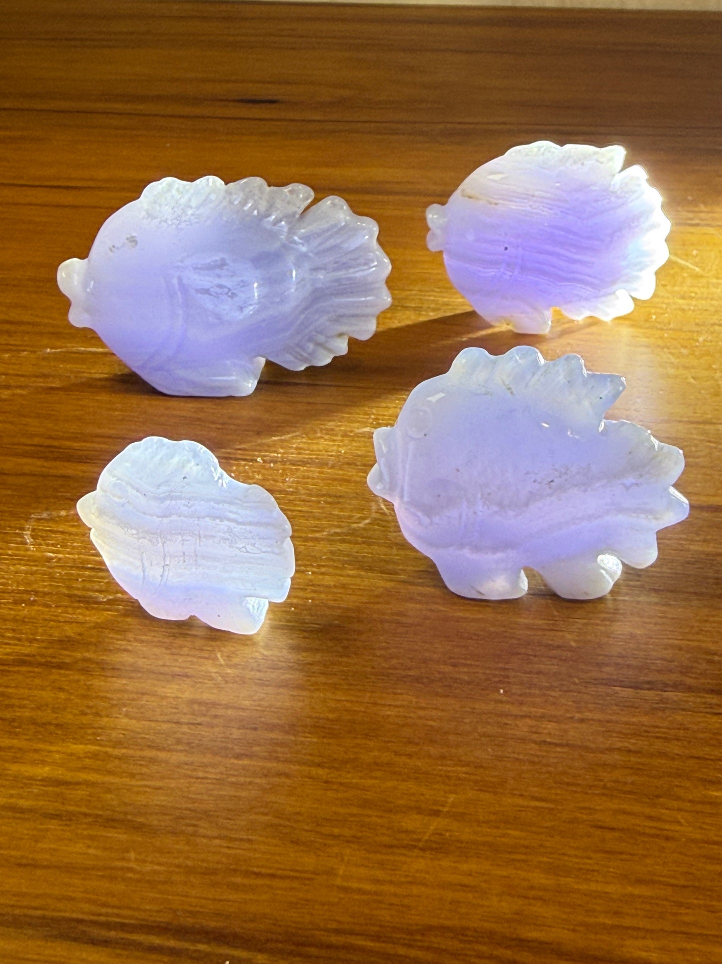 BLUE LACE AGATE FISH