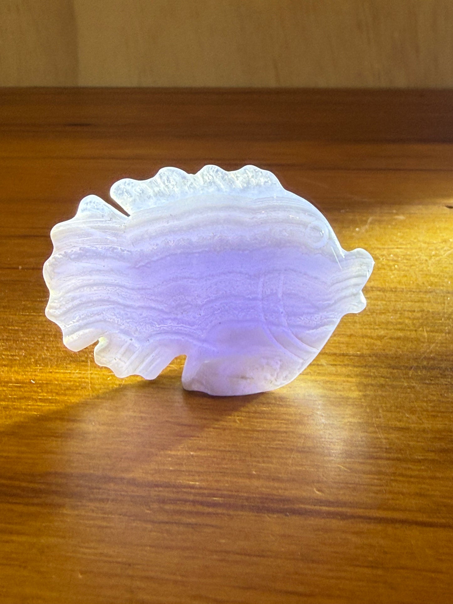 BLUE LACE AGATE FISH
