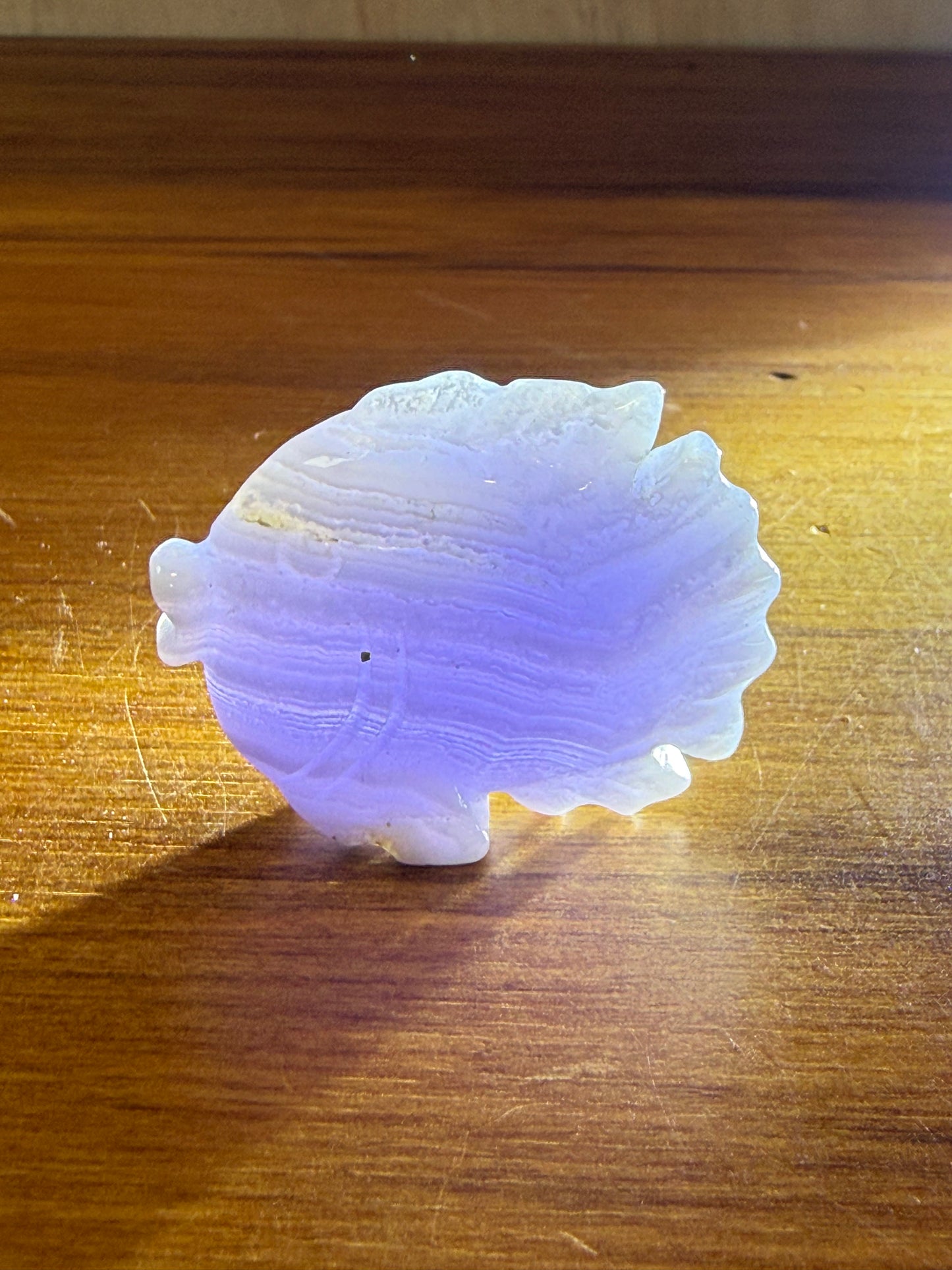 BLUE LACE AGATE FISH