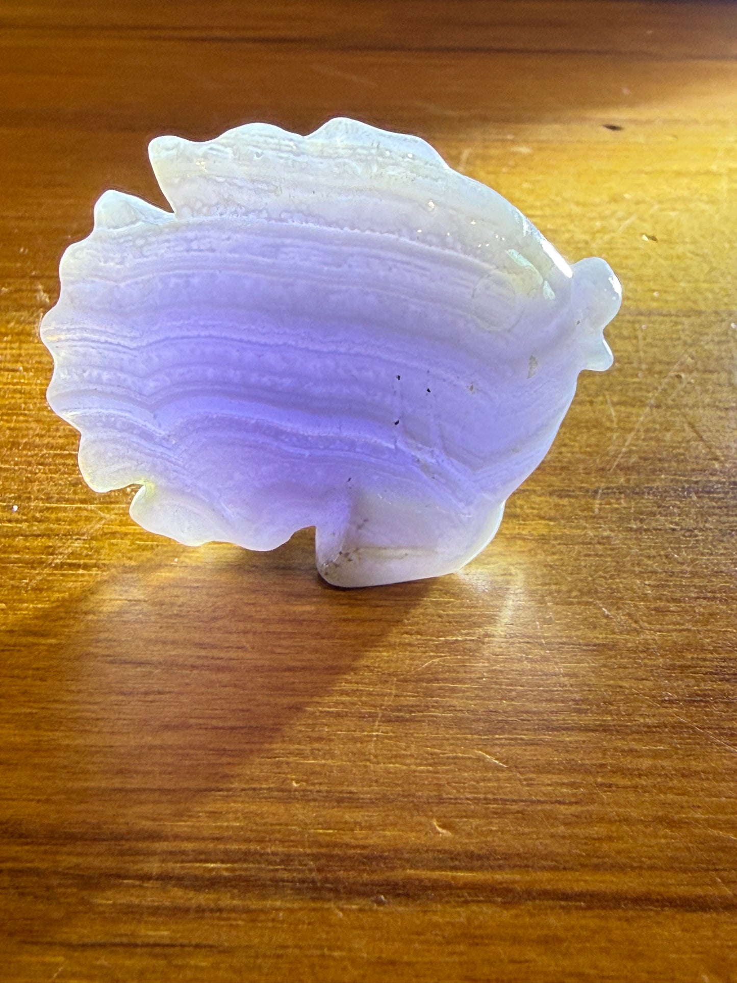 BLUE LACE AGATE FISH